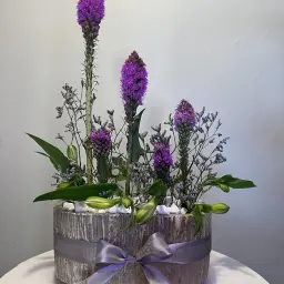 Soul of Purple